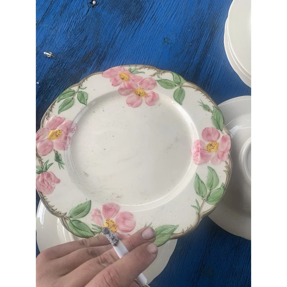 Franciscan Desert Rose Ceramic Dinner Plates SET of 2 USA